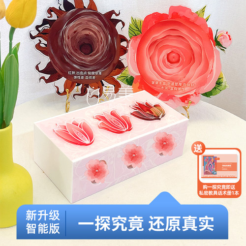 一探究竟灵魂通道指尖蜜境私密触感疗愈营妇科生殖医用私密模型新