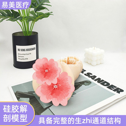 硅胶解剖模型私密手法练习模具月子会所产康店医学培训仿真真人感