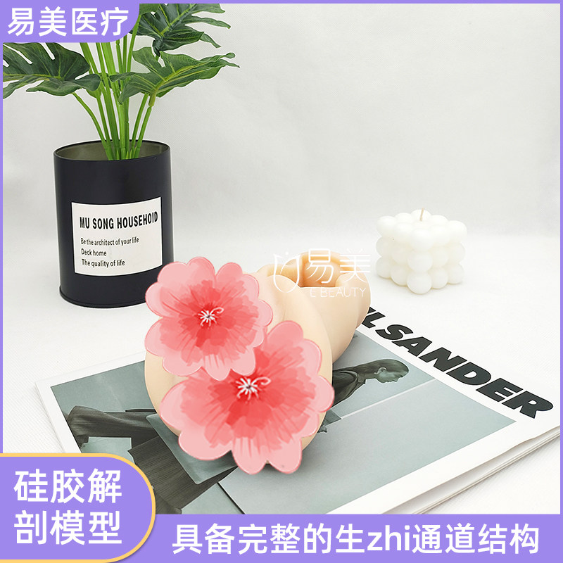 硅胶解剖模型私密手法练习模具月子会所产康店医学培训仿真真人感,文具电教/文化用品/商务用品,教学标本/模型,淘宝优惠券,粉丝福利购,淘宝优惠卷