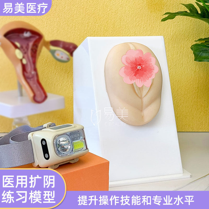 医用扩阴练习模型硅胶妇科检查培训工具还原阴道宫颈结构医美美容