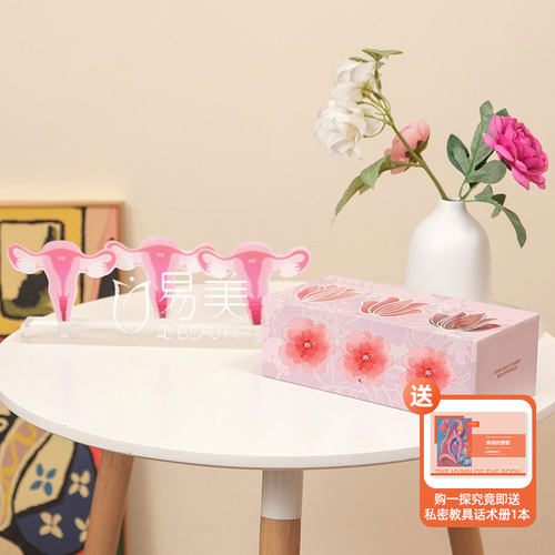 女性一探究竟灵魂通道子宫变迁模型指尖密境青春悄逝摆件沙龙布置