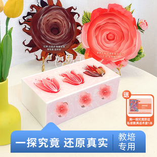 一探究竟灵魂通道指尖蜜境私密触感疗愈营妇科生殖医用私密模型新