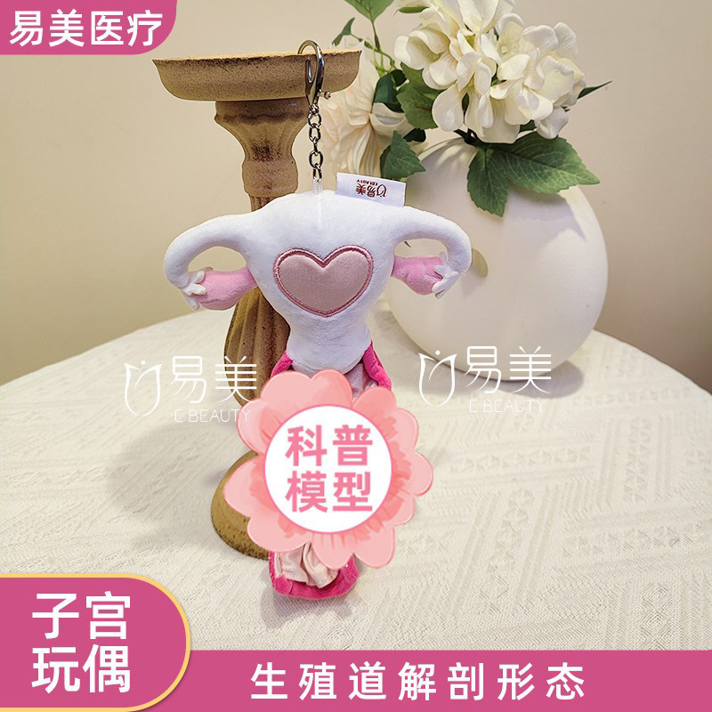 毛绒子宫解剖玩偶模型直播教培