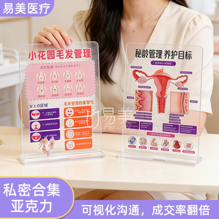 女性美体亚克力双面印刷摆台私密美容院场景布置医患沟通医疗模型