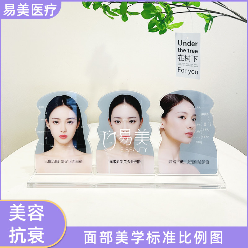面部美学标准比例图亚克力摆件医美会诊桌面教具美容知识讲解科普