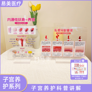 子宫养护系列亚克力摆台美容会所咨询室摆件种草神器黏膜知识讲解
