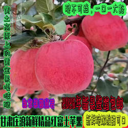 正宗庄浪红富士苹果 山地种植清甜脆爽新鲜当季水果 整箱产地直发