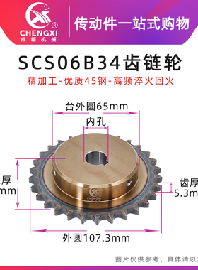 SCS高品质成型孔链轮3分34齿 06B34T外径107.3 精车内孔键槽顶丝