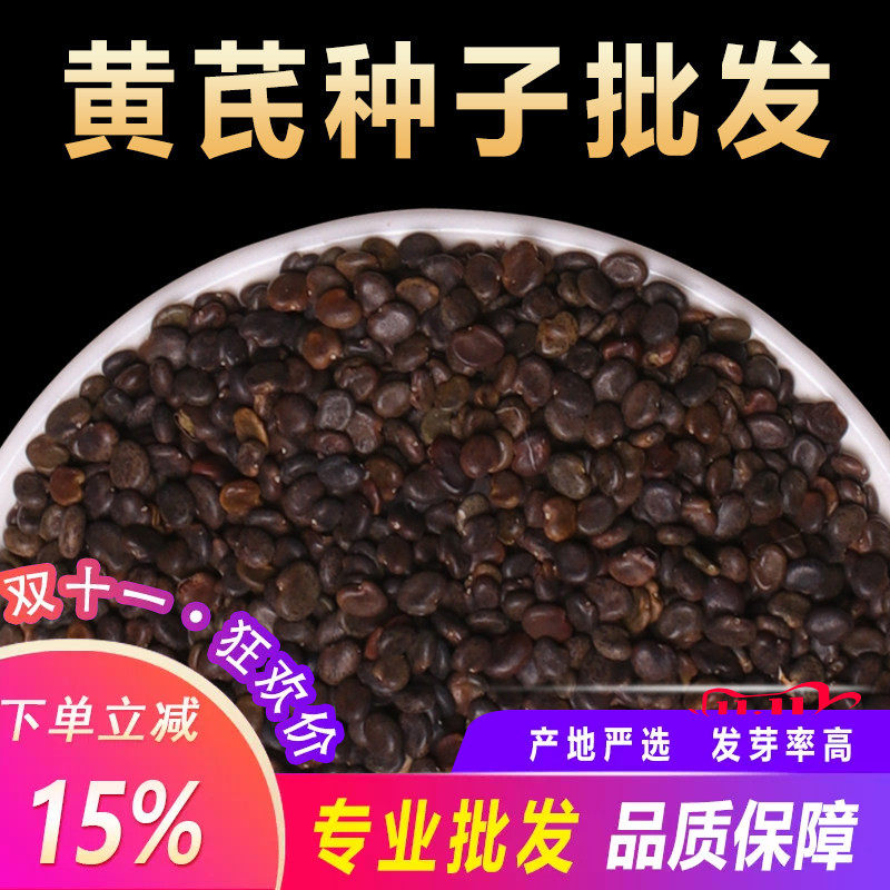 黄芪种子中药材内蒙黄芪种籽500克铁芪棉芪种植苗当归党参枸杞孑