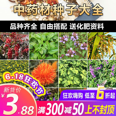 夏季品种全四季种植中药材种籽