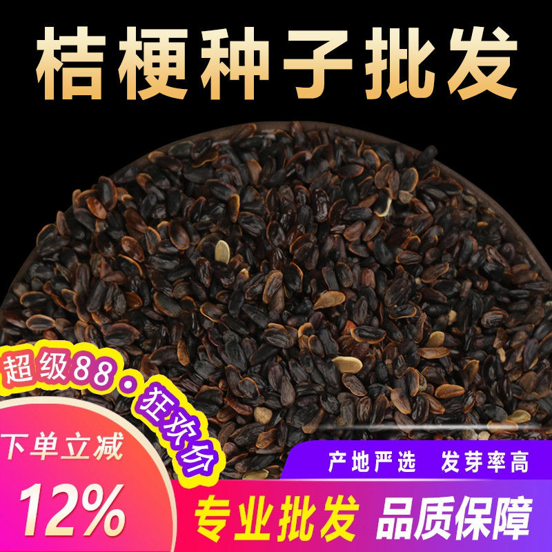 散装桔梗种子狗宝咸菜桔梗种籽四季种植药材板蓝根紫苏太子参种孑