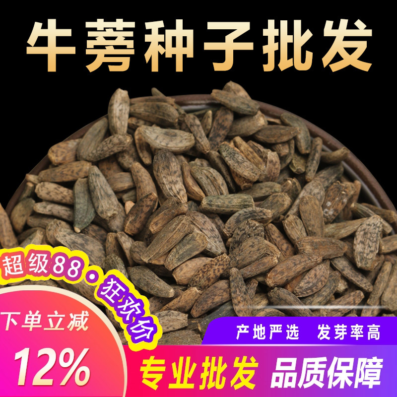 新牛蒡种子中药材牛蒡子种籽牛蒡根茶春季四季种植枸杞决明子种孑