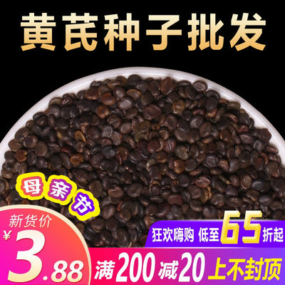 种子严格筛选夏季开花