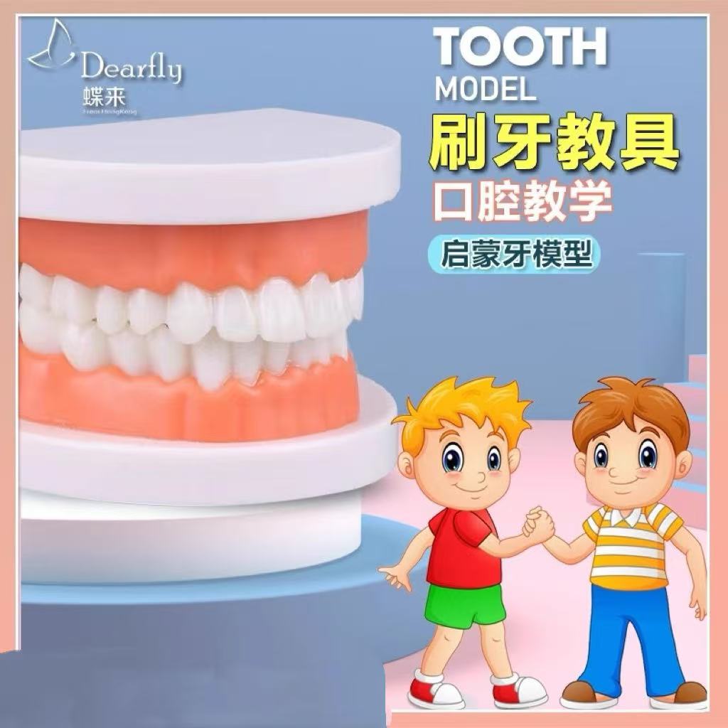 牙具牙模型小孩幼儿教学假牙