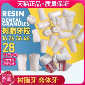 树脂牙粒口腔考试练习仿真牙粒根管开髓牙离体牙种植牙备牙模型