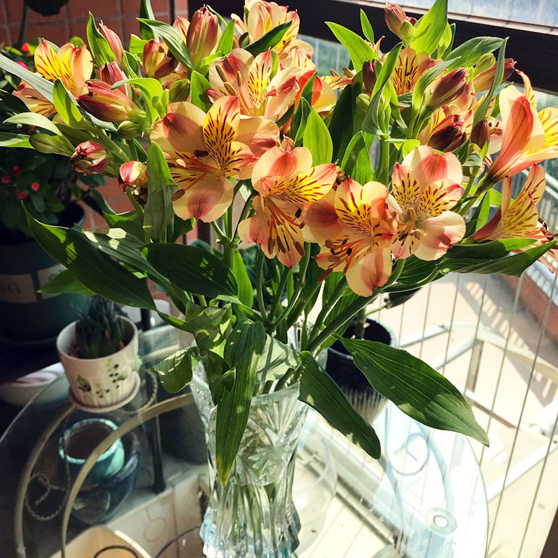 网友分享在meiguo.com的图片