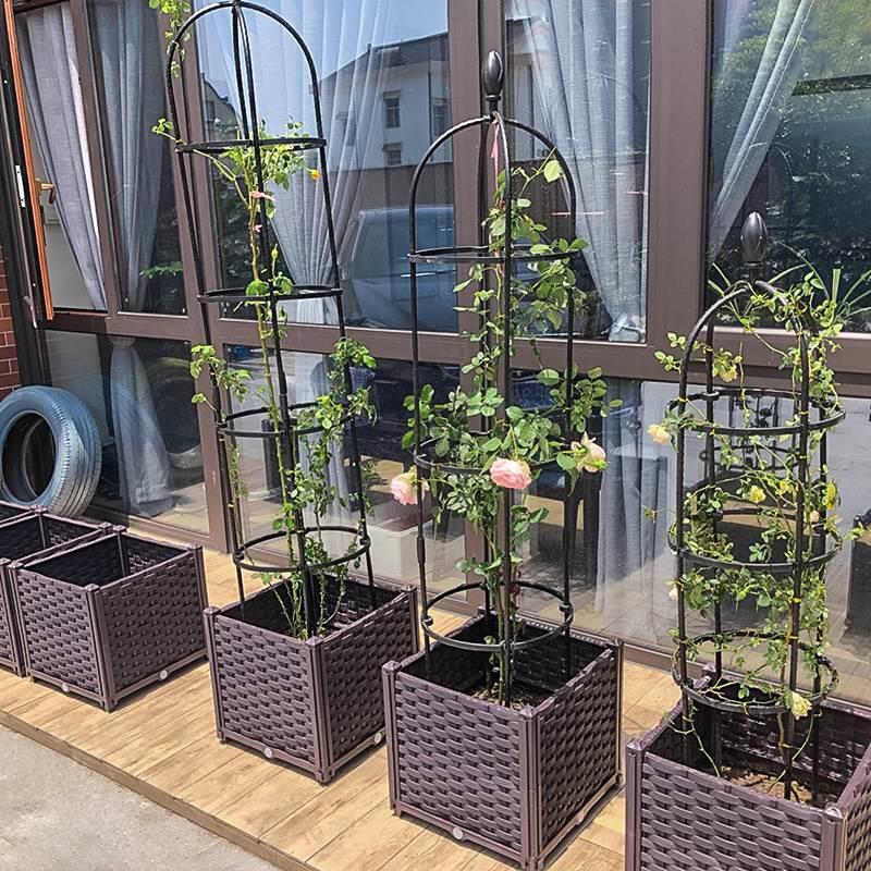 种菜专用箱盆花木花组合果树葡萄吸水花槽户外花盆蔬菜家里院子盆