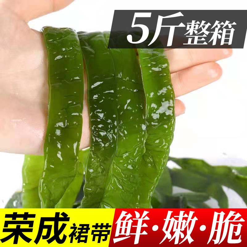 5斤新鲜海白菜盐渍裙带菜梗段海裙菜非干货整箱商用批发凉拌菜 水产肉类/新鲜蔬果/熟食 裙带菜 原图主图