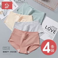 Хлопковые демисезонные трусы для беременных с поддержкой живота, большой размер