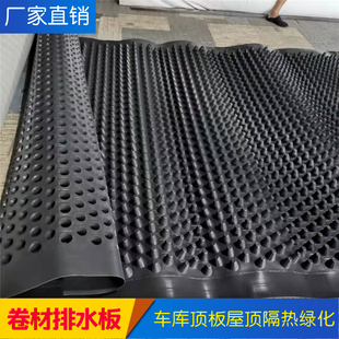 卷材排水板塑料疏水板HDPE屋顶绿化种植阻根板屋面防渗和隔热层
