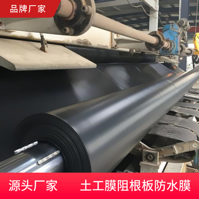 莲藕池聚乙烯防潮加厚土工膜