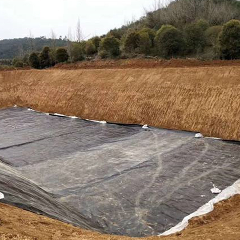 鱼塘防渗膜鱼塘土工膜防漏水池塘防水布塑料聚乙烯土工膜防潮膜