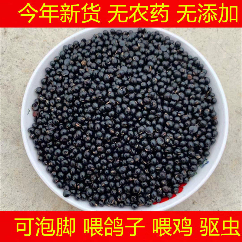 花椒籽种子大红袍青花椒泡脚喂鸽子做枕头鸽粮饲料籽种子榨油食用