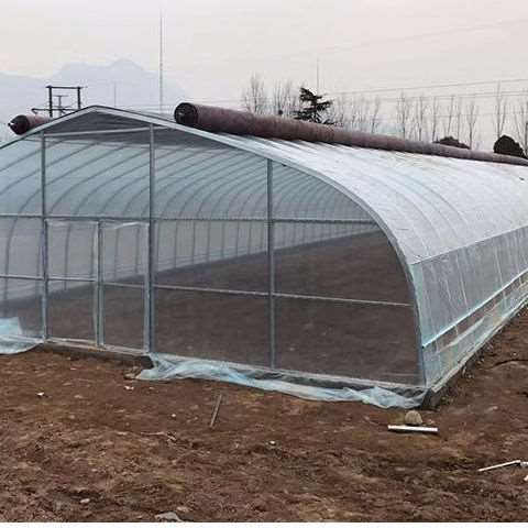高档大棚骨架钢管保温外舍家用设备猪j圈牛羊棚搭建户