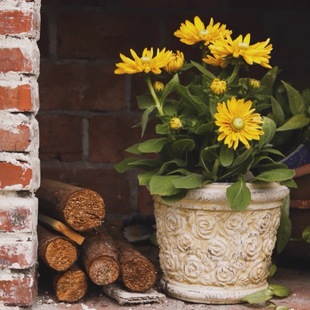 手压红陶复古浮雕花盆玫瑰花盆 月季绣球三角梅枫树百搭花盆