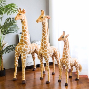 2026人民银行结构化面试课