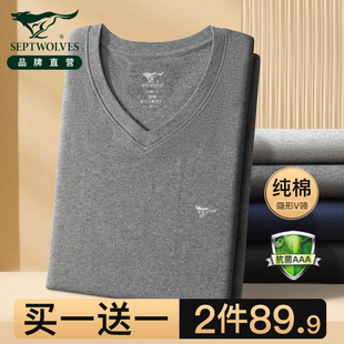 打底棉毛衫 套装 低领V 纯棉V领秋衣男生线衣线裤 七匹狼保暖内衣男士