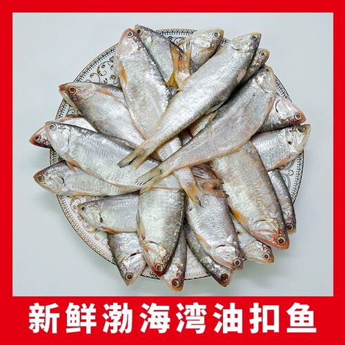 经济实惠海鲜完美好吃