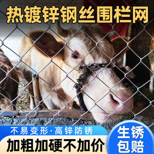 防锈热镀锌钢丝网围栏网铁丝网养殖网牛羊猪狗防护网圈地果园栅栏