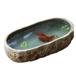 花盆水培陶瓷铜钱草睡莲碗莲无孔大号水养植物水培养鱼盆特大