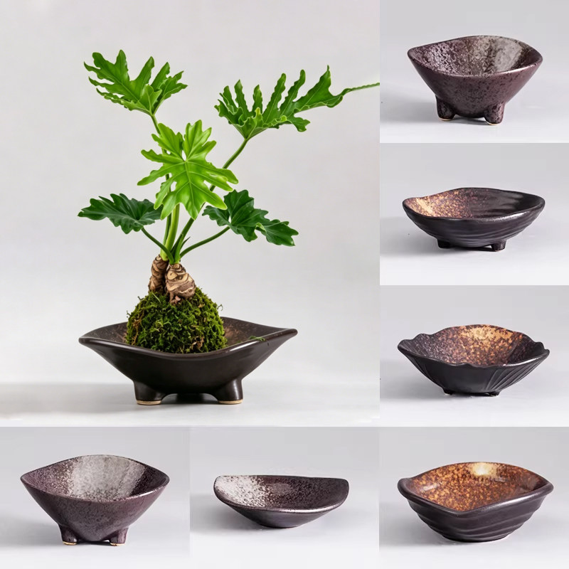 苔藓球花盆托盘蕨类植物专用盆无孔陶瓷水培器皿创意室内桌面造景