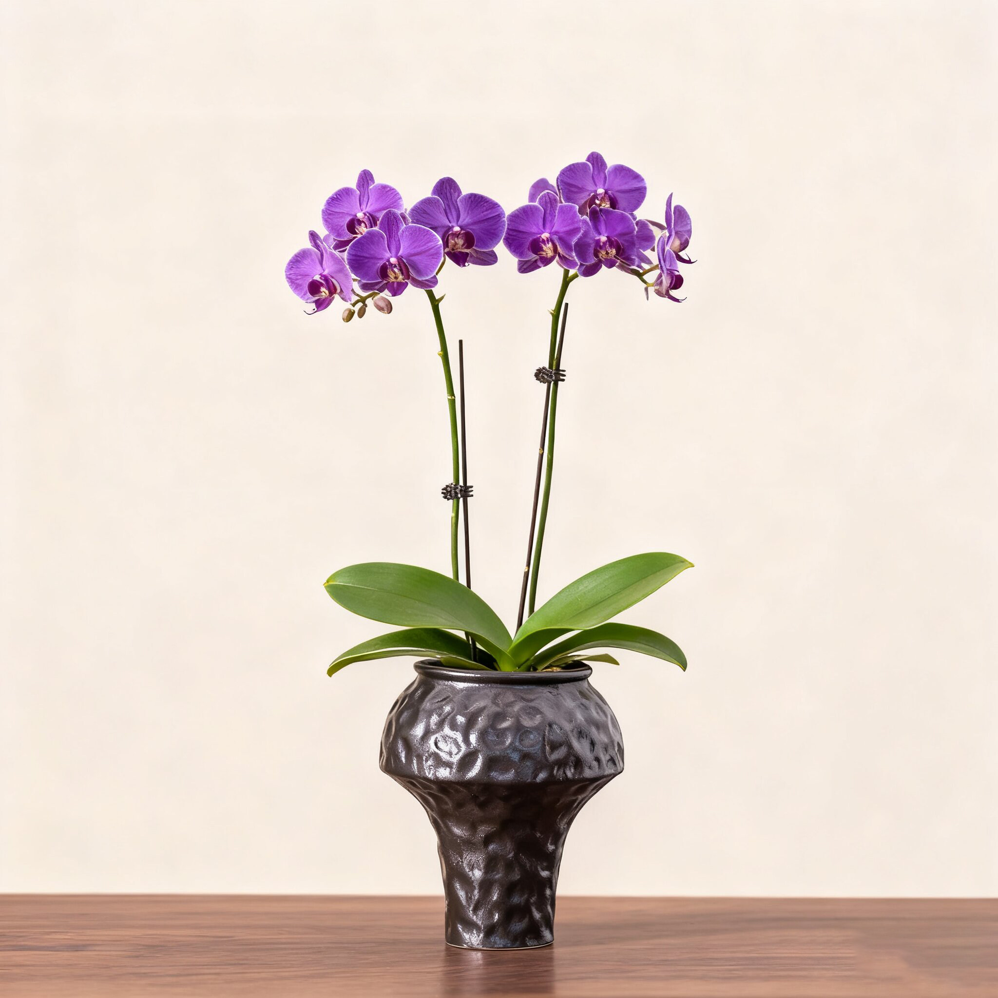 花盆蝴蝶兰专用盆中式陶瓷创意简约个性家用阳台桌面装饰盆景摆件,鲜花速递/花卉仿真/绿植园艺,花盆,淘宝优惠券,粉丝福利购,淘宝优惠卷