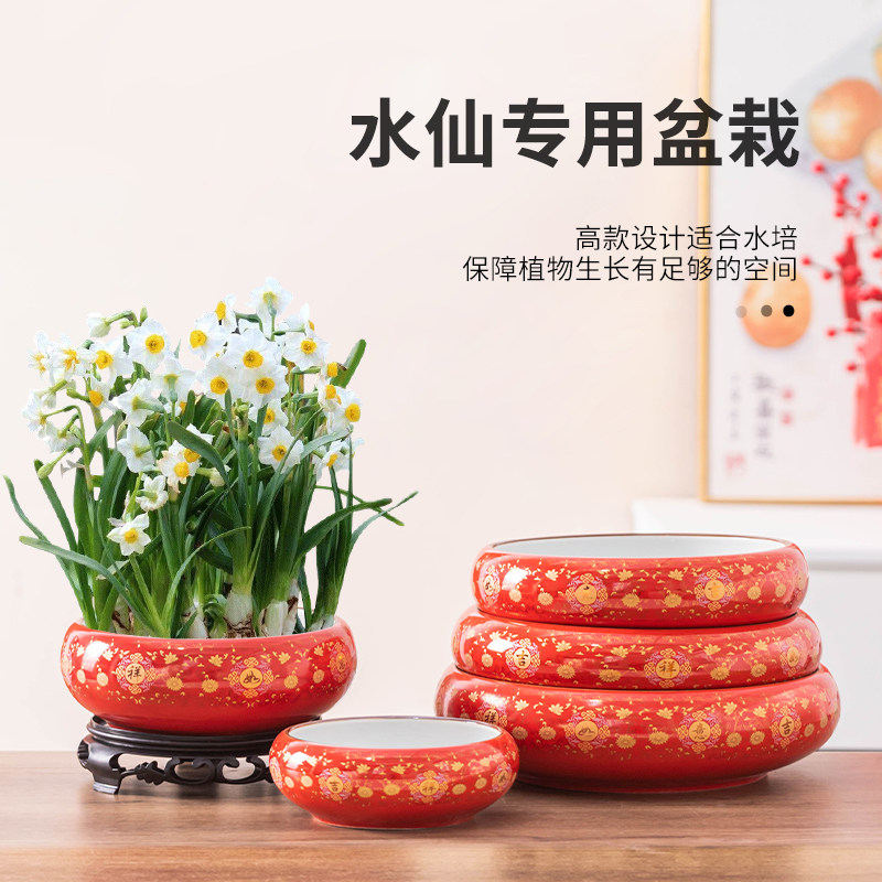 水仙花花盆水培器皿植物水养中式陶瓷大号个性红家用桌面装饰摆件