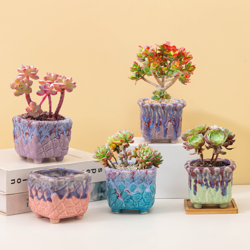高颜值多肉花盆复古流釉方形花边菱格陶瓷花盆带托盘客厅阳台摆件