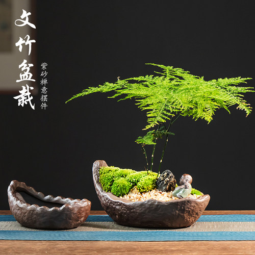 紫砂文竹花盆陶瓷一叶船中式复古创意绿植大口径家用桌面摆件带托