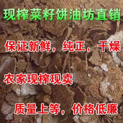菜籽油饼农家菜枯打窝油菜饼菜籽有机肥营养土肥料钓鱼油枯