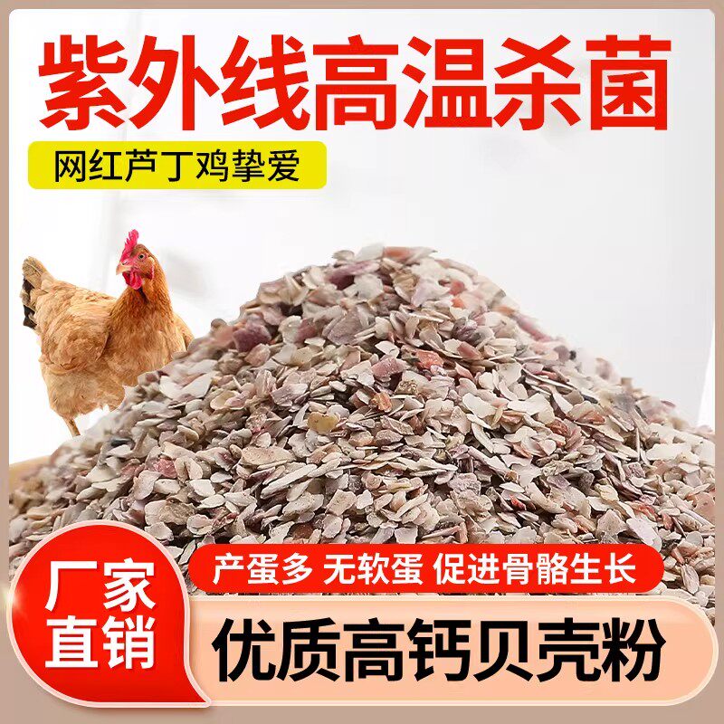 贝壳粉饲料 牡蛎粉贝壳饲料 鸡饲料添加剂