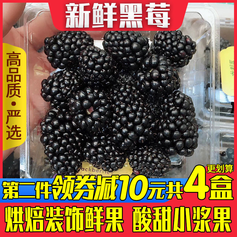 新鲜黑莓鲜果2盒装黑莓水果覆盆子黑树莓果桑葚果稀有热带水果|ruв категории водной мясо/свежие фрукты и овощи/еда, свежие фрукты, другие - от Buy2taobao.com для оказания профессиональной услуги покупки агента Taobao