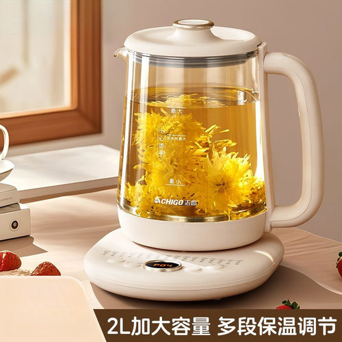 养生壶家用多功能保温全