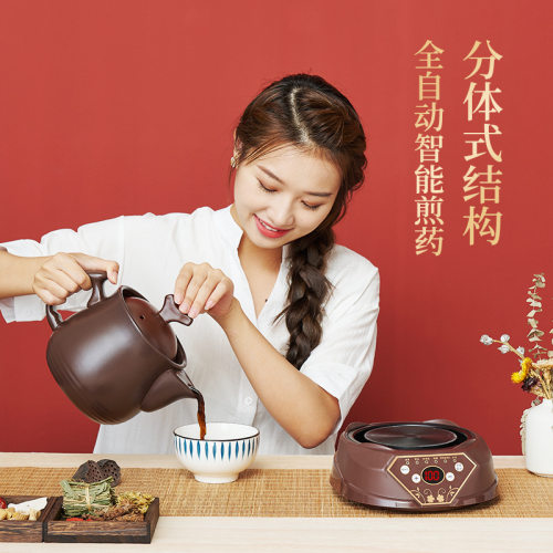 养生壶分体电煎药壶多功
