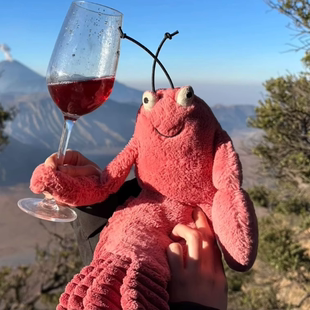 英国趣味拉里大龙虾红龙虾毛绒玩偶娃娃公仔女生礼物2025夏季新品