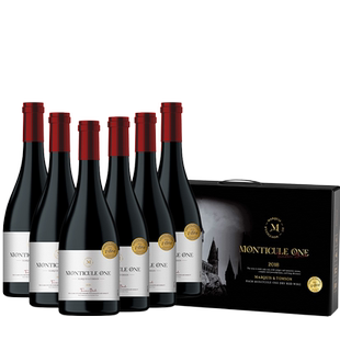 N汤臣巴赫家族轻奢高档智利红酒礼盒装整箱6支葡萄酒年货春节送礼