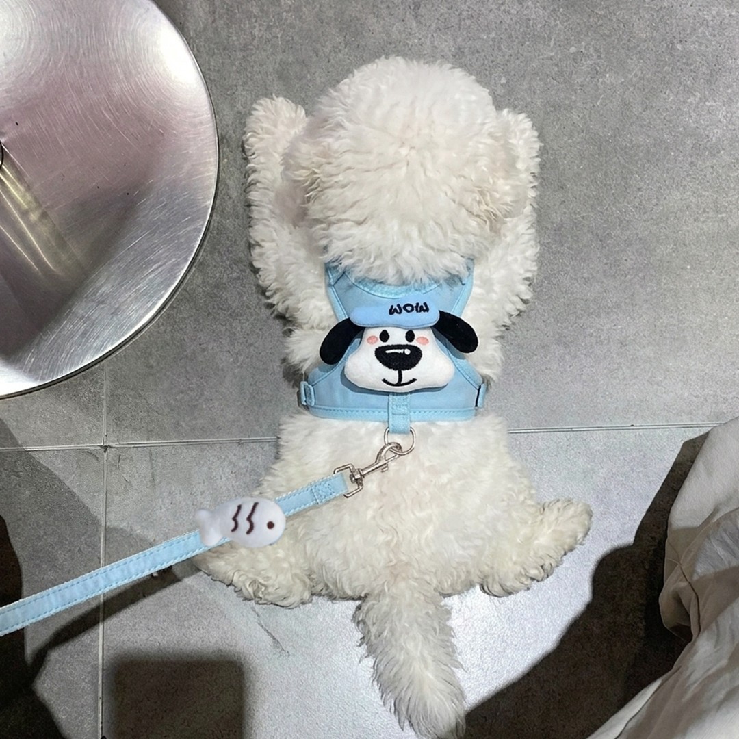 狗狗牵引绳夏季轻薄透气宠物胸背