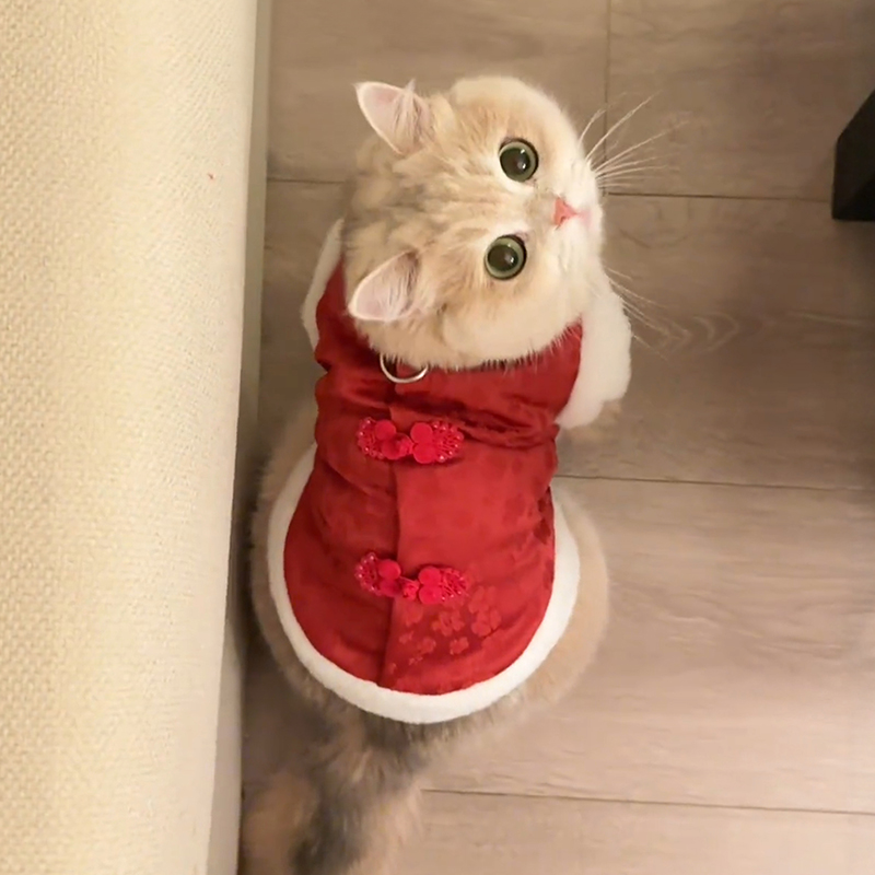 新年喜庆马甲宠物猫咪衣服保暖