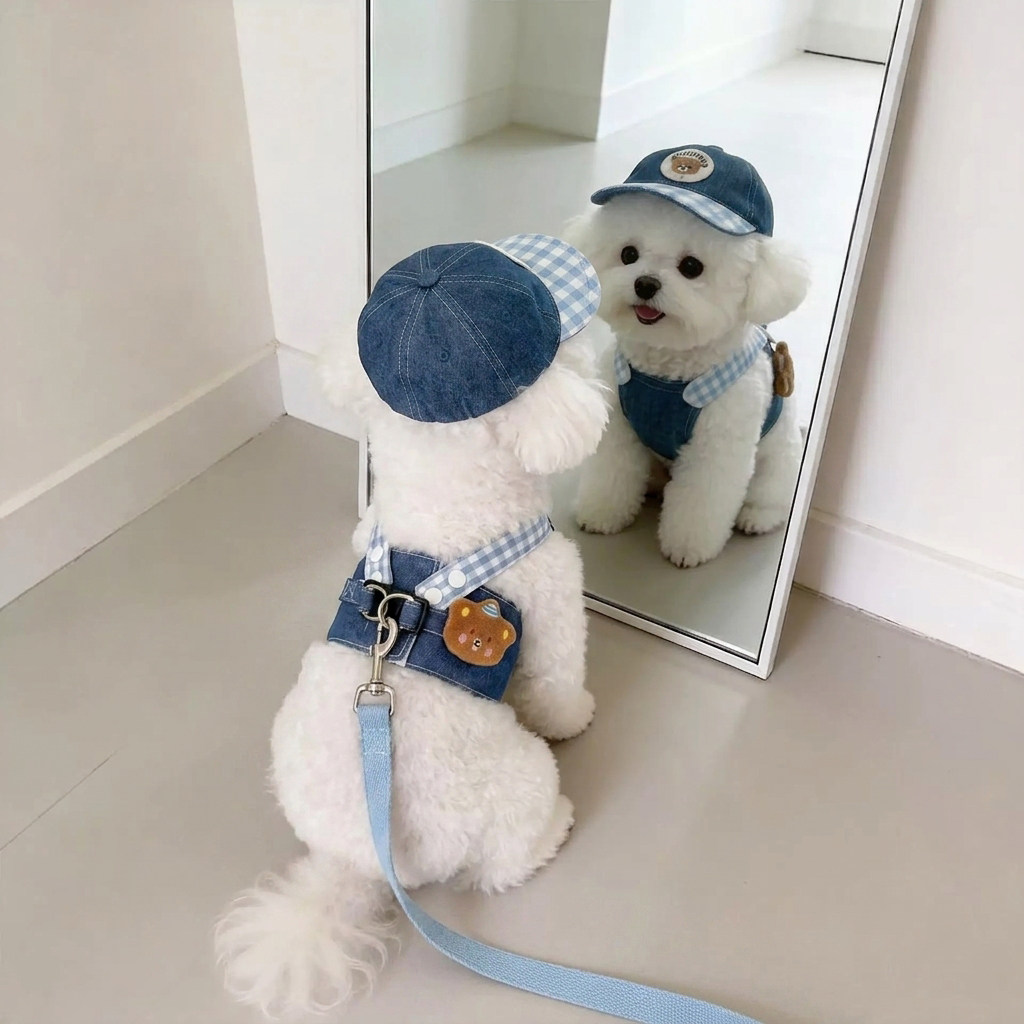 狗狗牵引绳夏季可调节透气胸背带