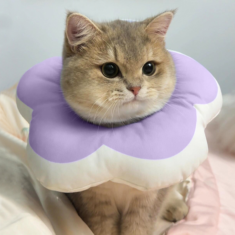 伊丽莎白圈猫绝育防舔项圈狗头套